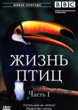 BBC: Жизнь птиц 1998