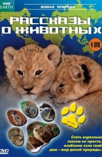 BBC: Рассказы о животных 2008