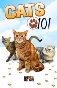 Энциклопедия кошек 2008