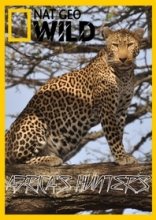 National Geographic: Африканские охотники 2017