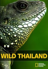Дикая природа Таиланда 2013