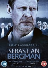 Себастьян Бергман 2010