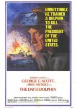  День дельфина 