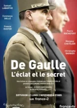  Де Голль: история и судьба 